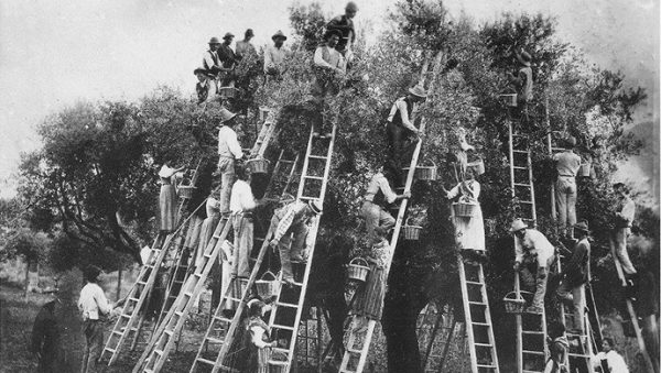 Bio-distretto, primi passi