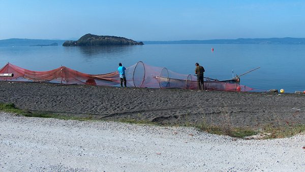 FLAG Lago di Bolsena, per una pesca sostenibile