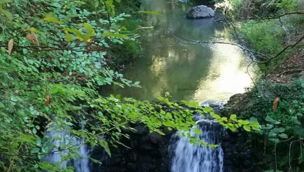 "Acque chiare", ridurre l’inquinamento del lago