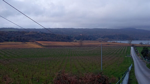 Diserbante sulle rive del lago