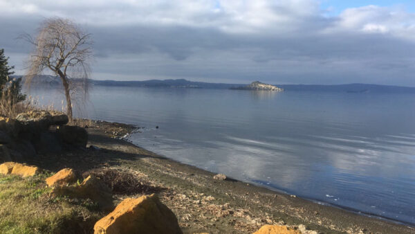 Uso improprio di fitofarmaci sulle rive del lago: intervengono le forze dell’ordine