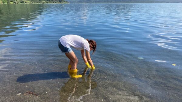 La Goletta dei Laghi: miglioramento per il lago di Bolsena&nbsp;