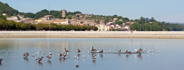 La siccit&agrave; e il lago